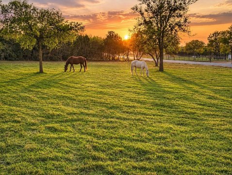 LAND - Weatherford, TX