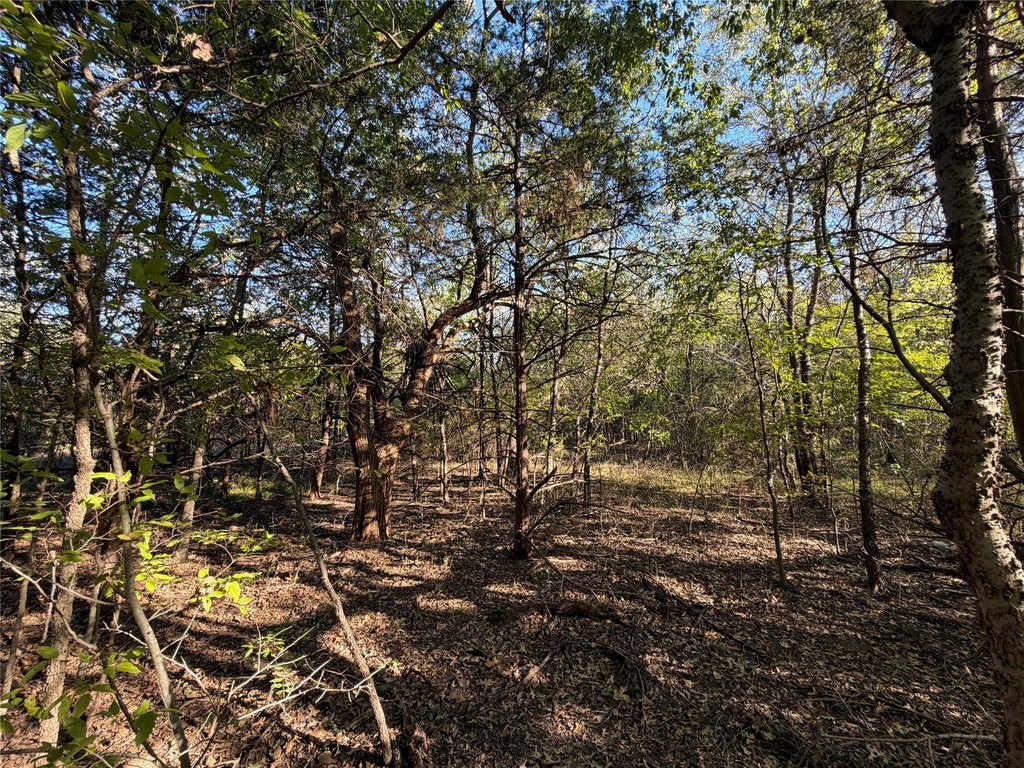 Picture 24