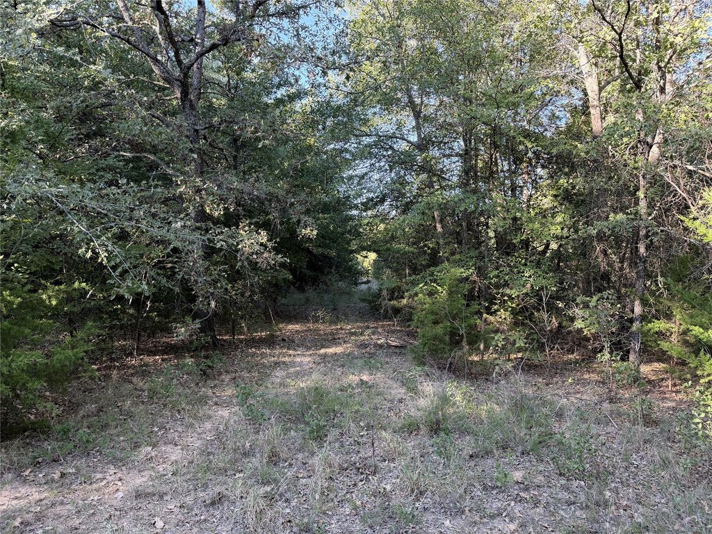 Picture 28