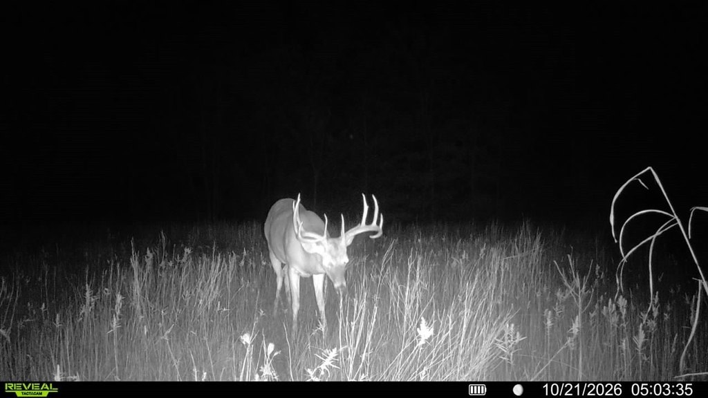 Picture 4