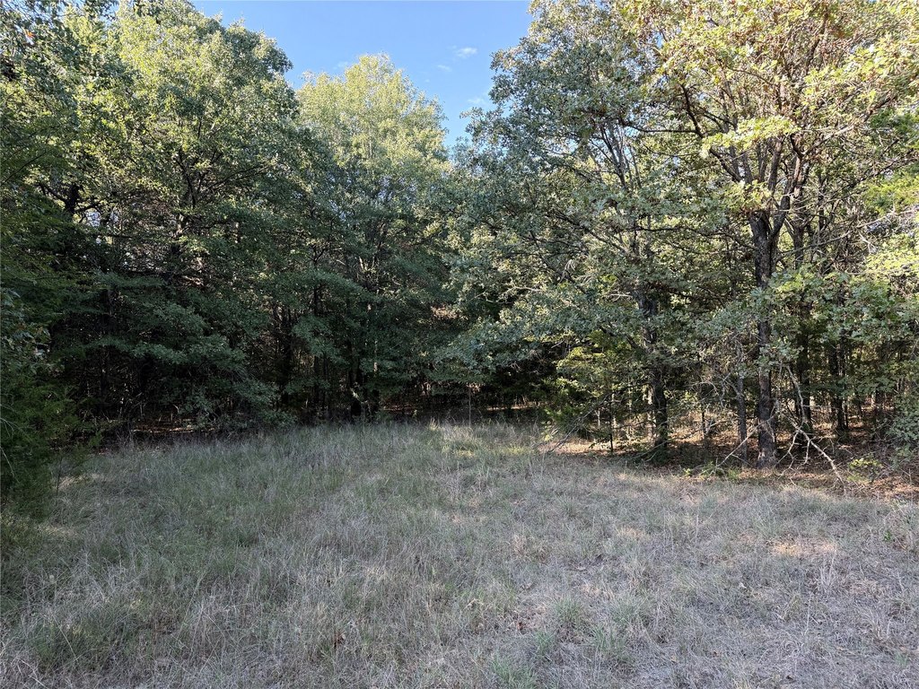 Picture 26
