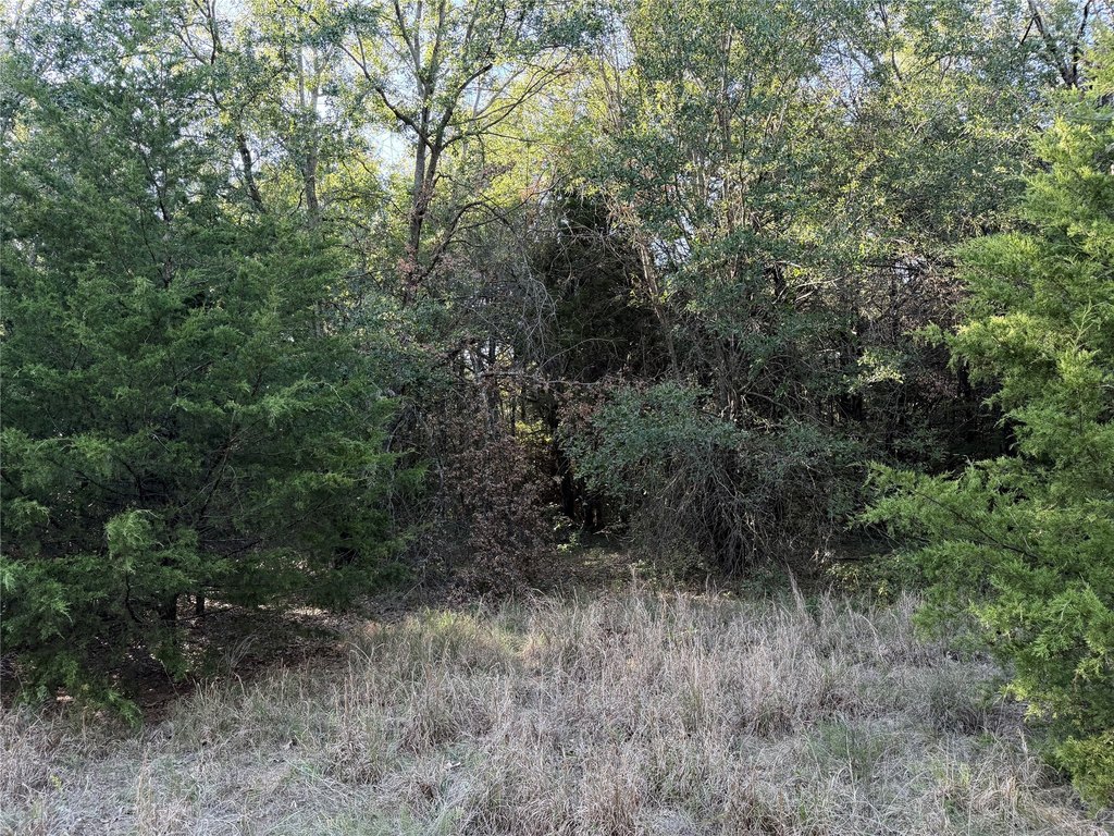 Picture 29