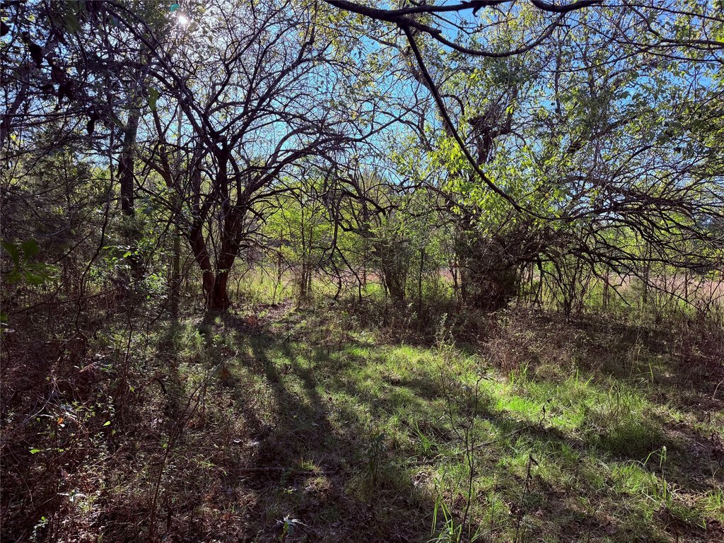 Picture 23