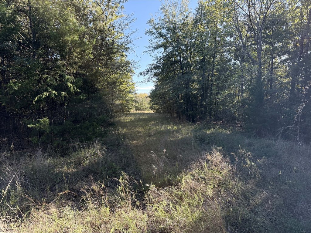Picture 31