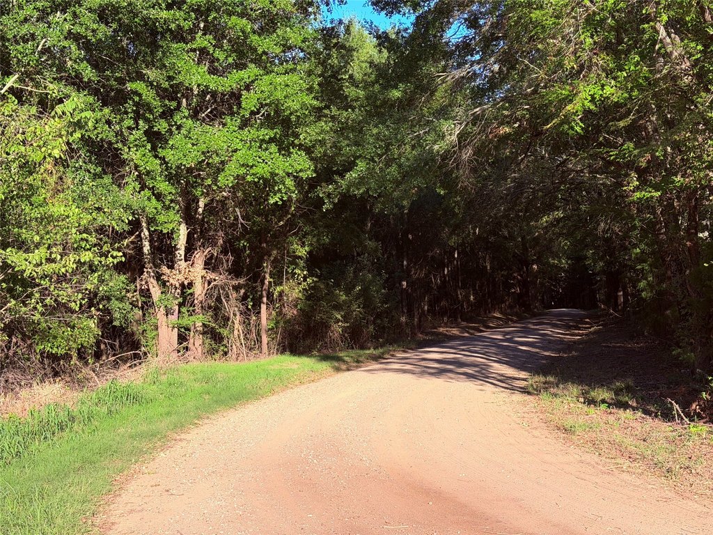 Picture 20