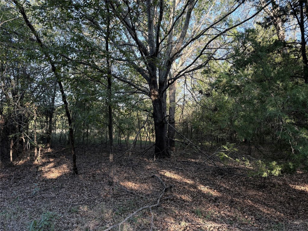 Picture 16