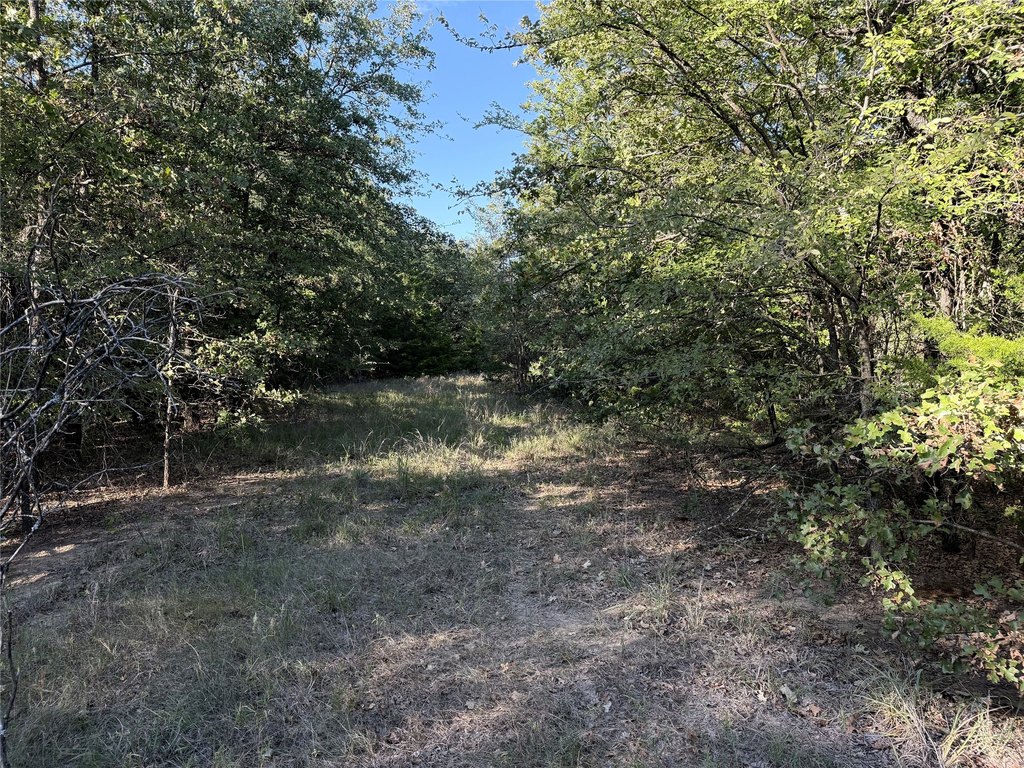 Picture 27