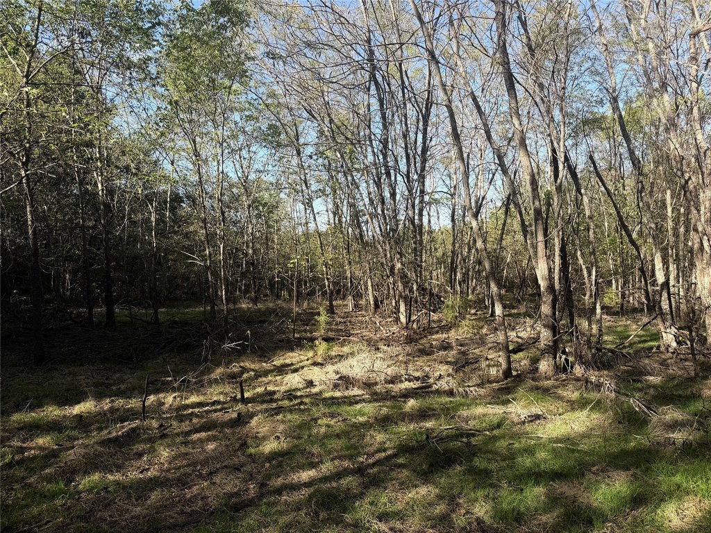 Picture 21