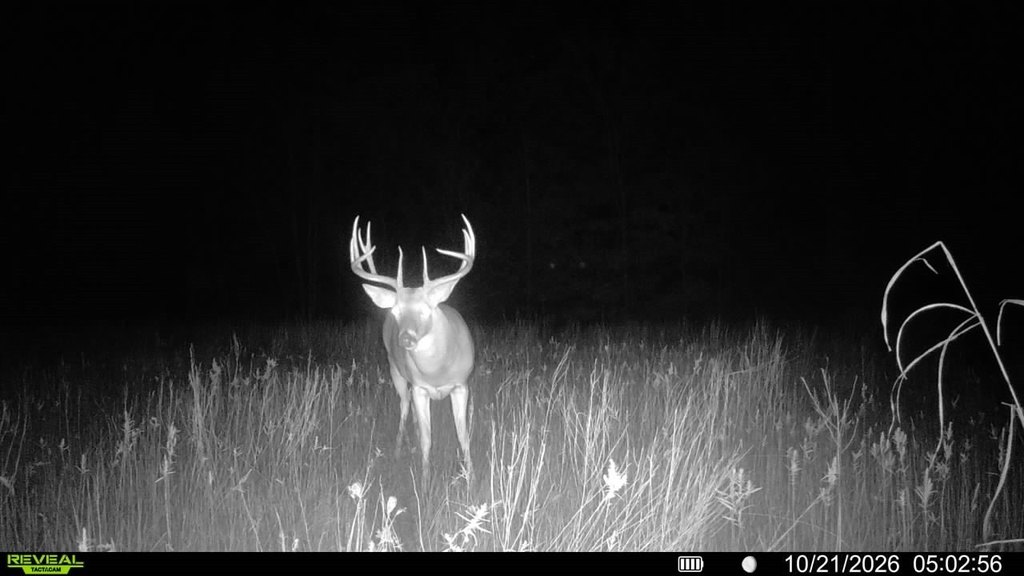 Picture 3