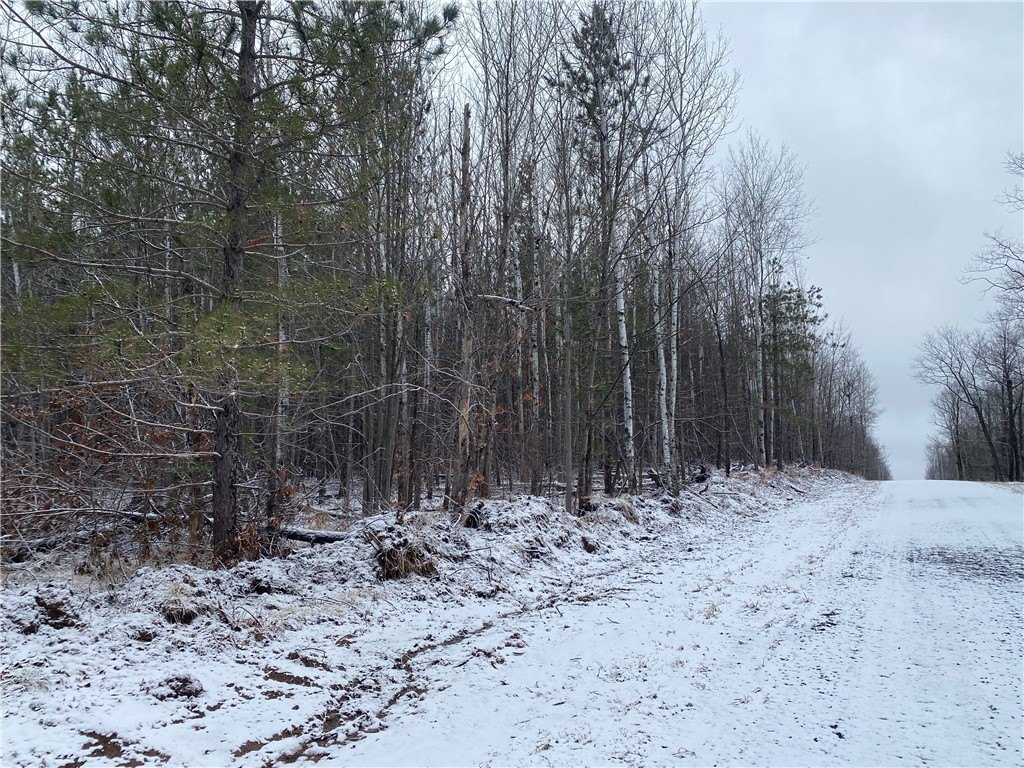 Port Wing Forestland on 40 Acres
