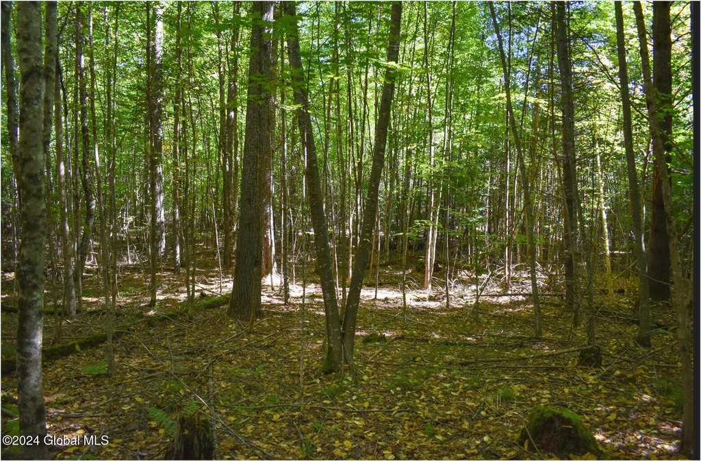 Picture 11