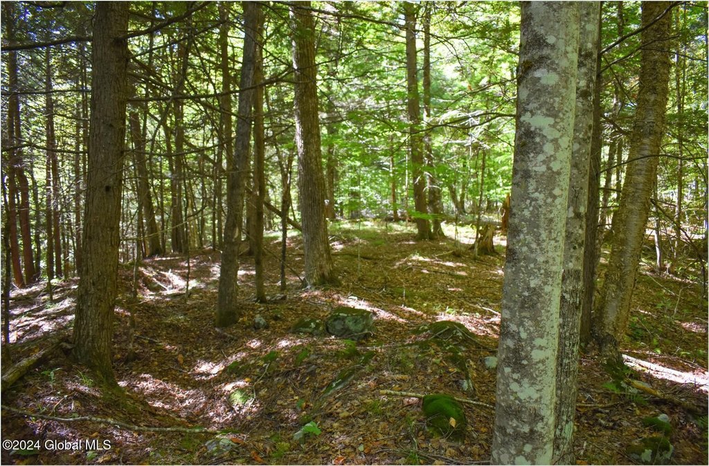 Picture 9