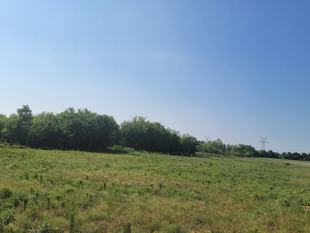 Picture 23