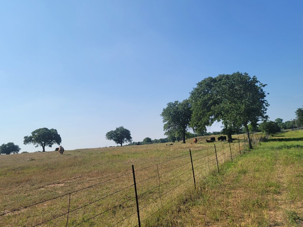 Picture 22