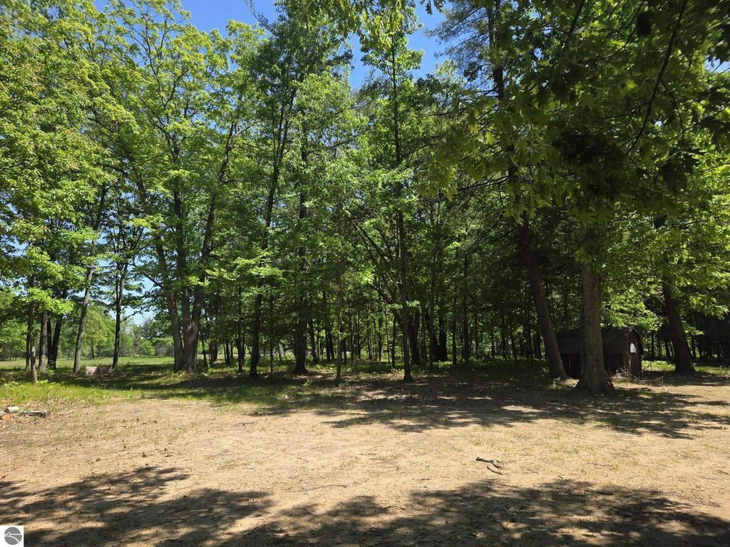 Picture 18