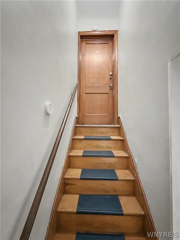 Picture 5
