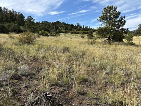 Westcliffe Land with Mountain Views