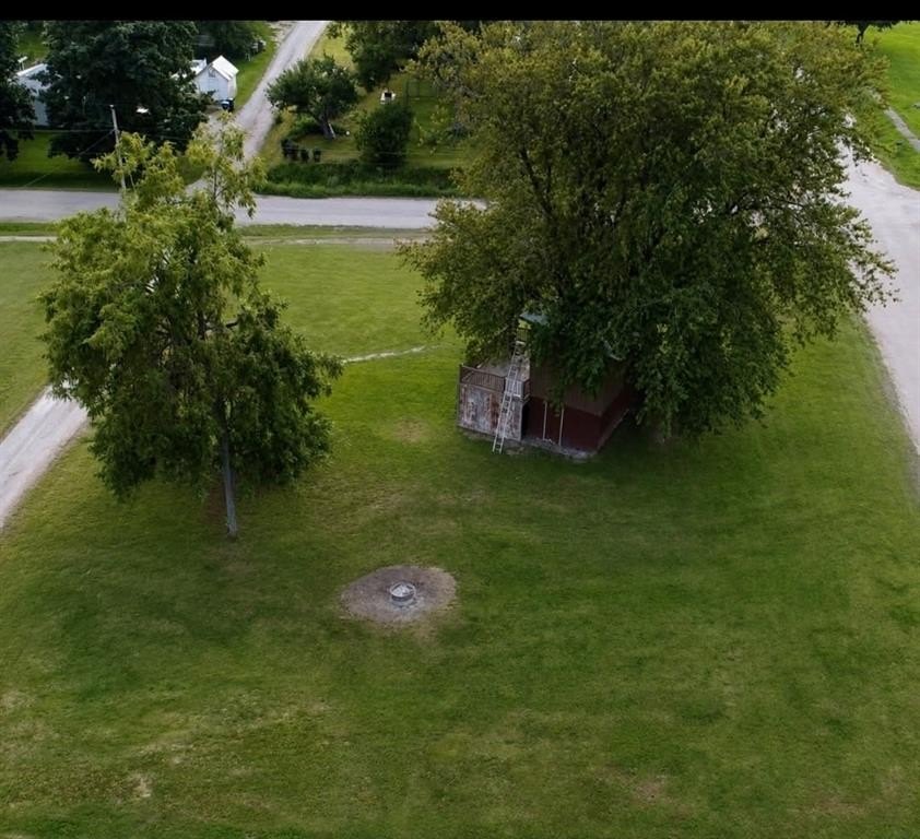 Picture 10