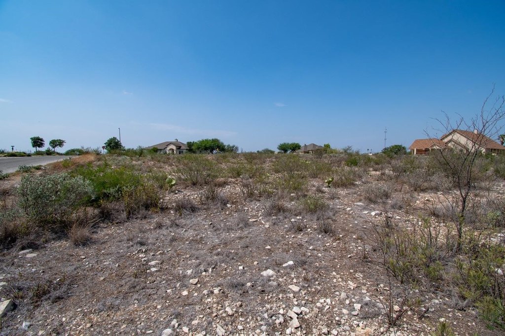 Picture 31