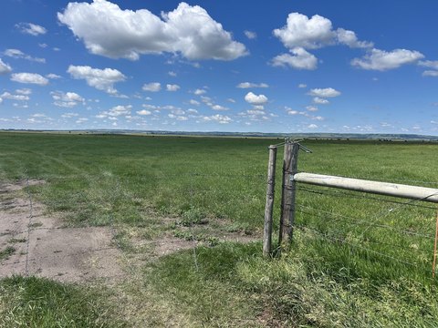 Pasture Land with Artesian Wells