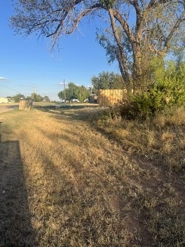 Picture 2