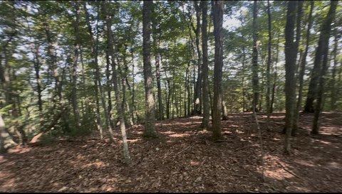 Vacant Lot, Mineral Bluff, GA