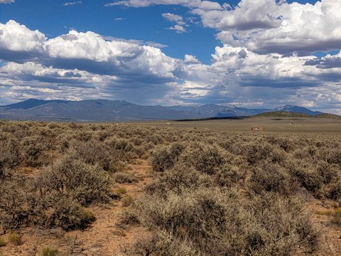 LAND - Taos, NM