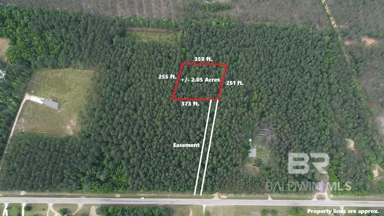 Uriah, AL Wooded Land Parcel
