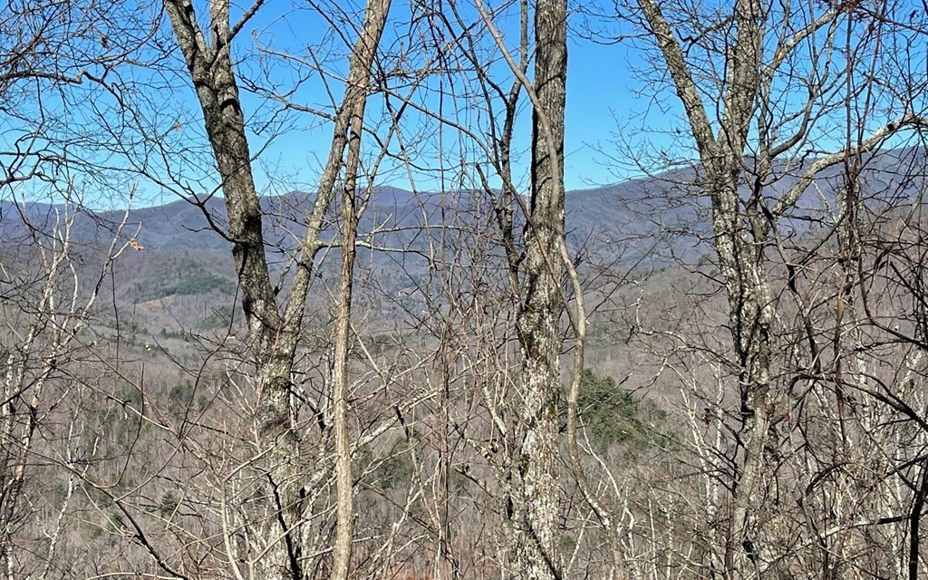 Picture 38
