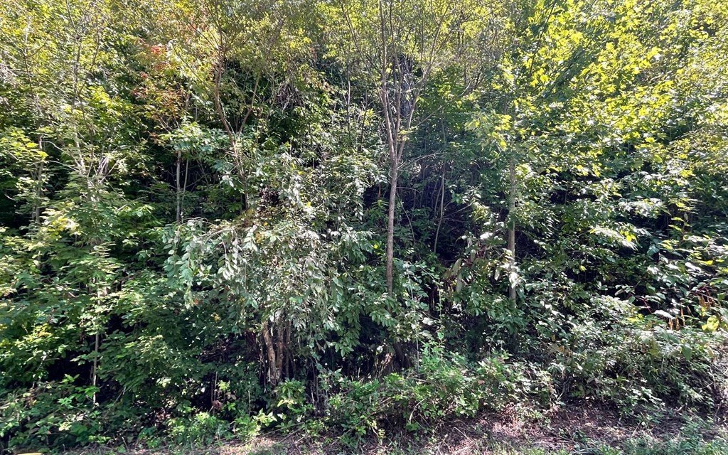 Picture 31