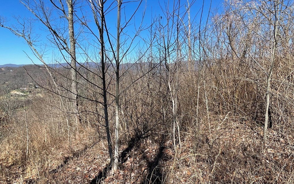 Picture 47