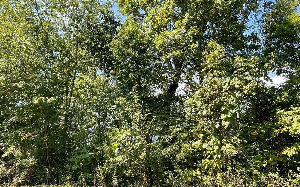 Picture 27