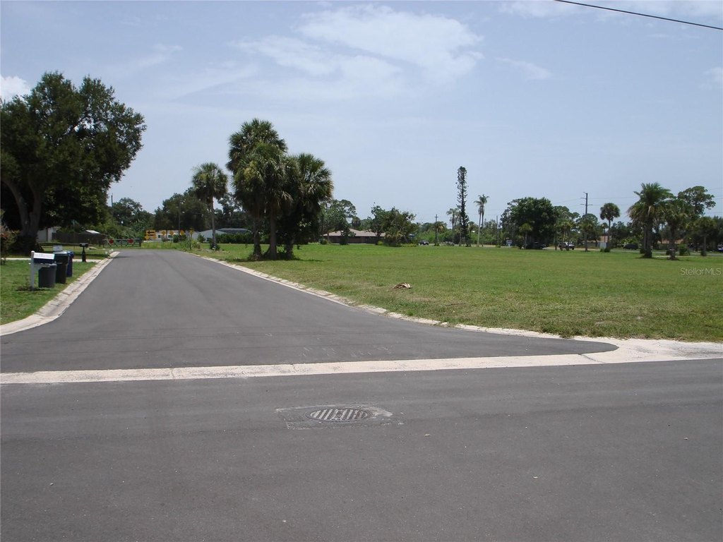 Picture 11