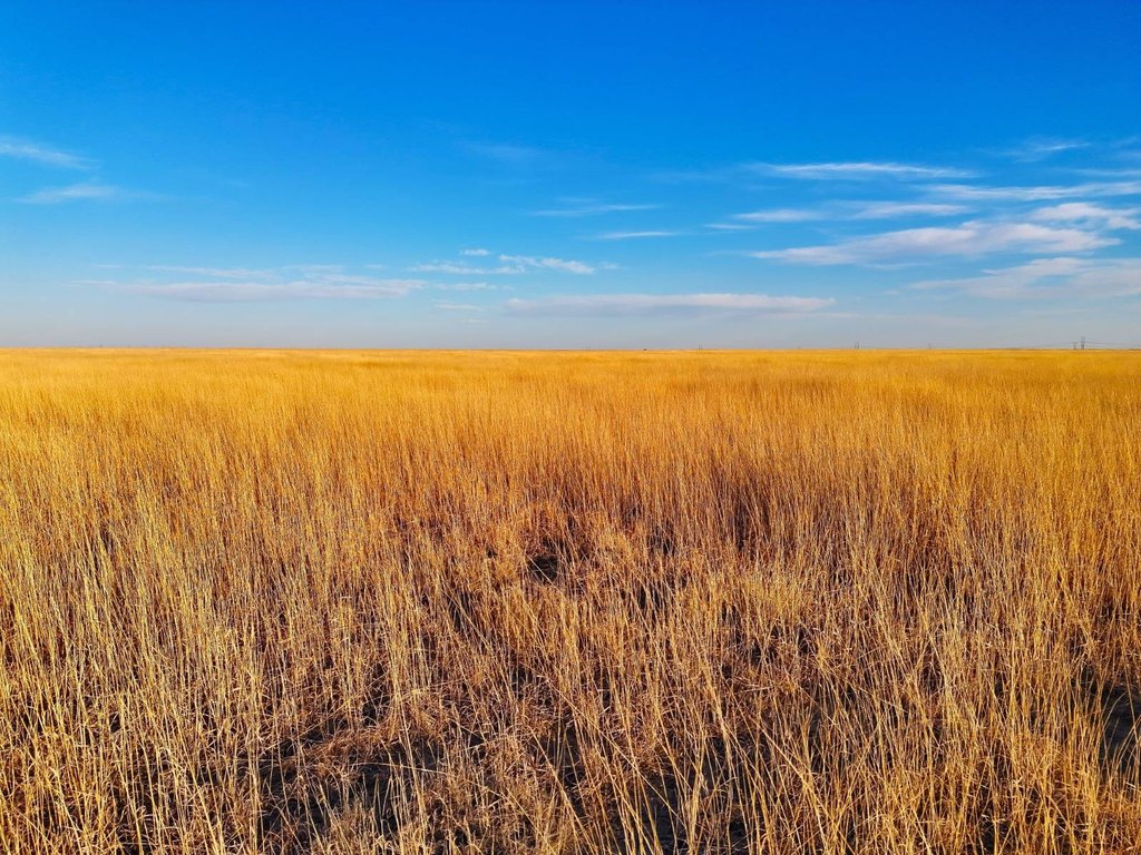 Picture 9