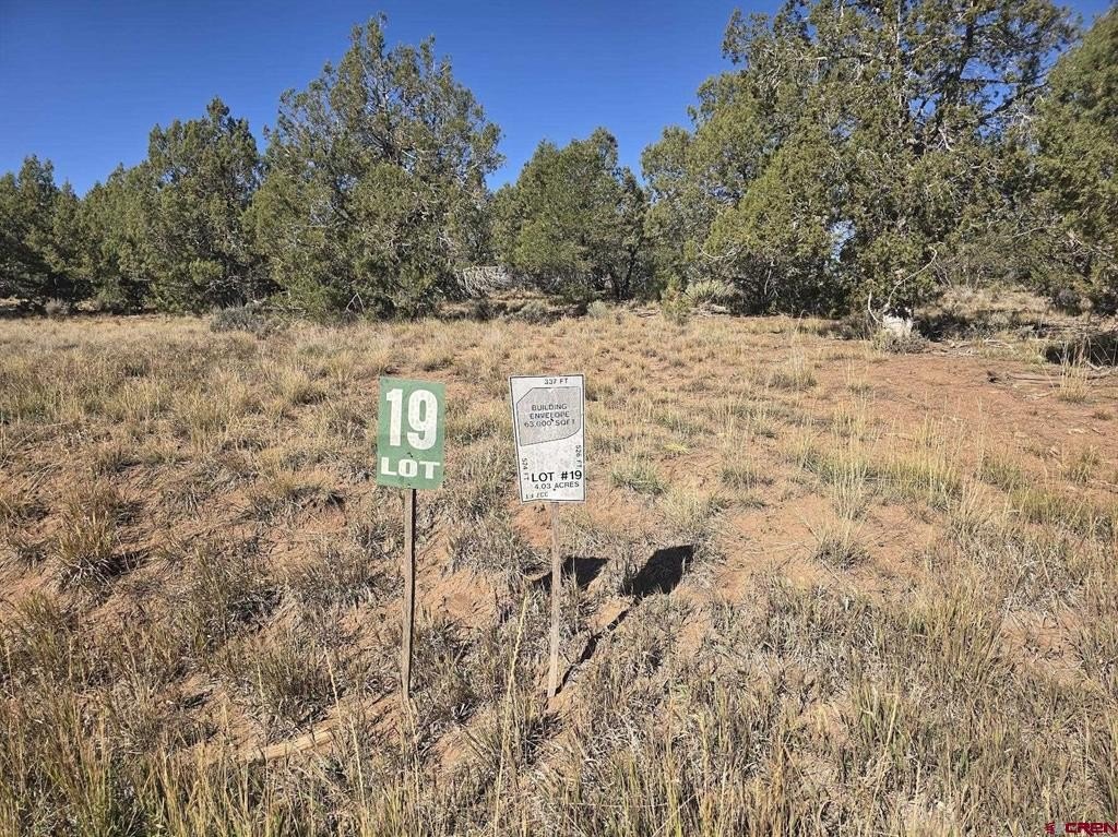 Land For Sale, Durango