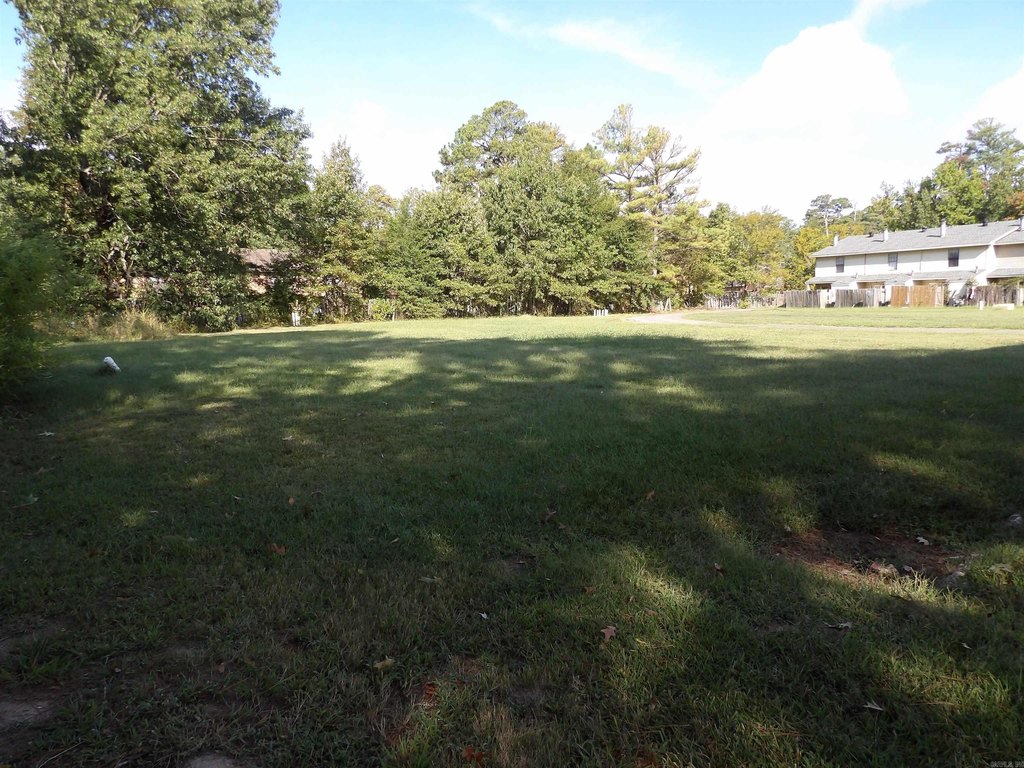 Picture 11