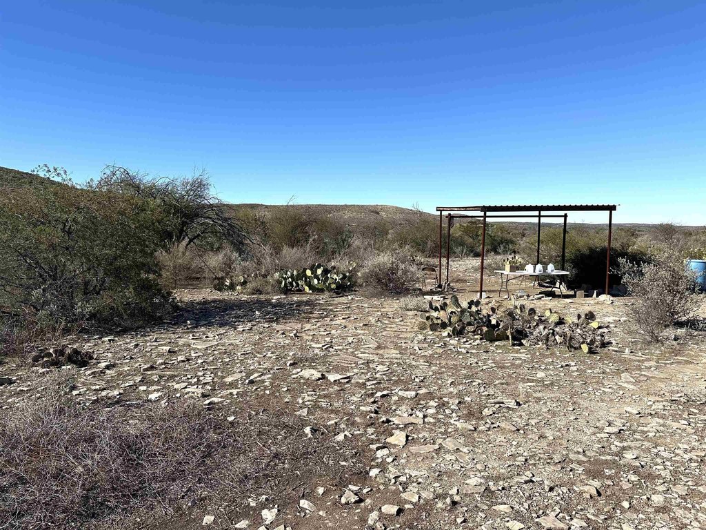 Picture 6