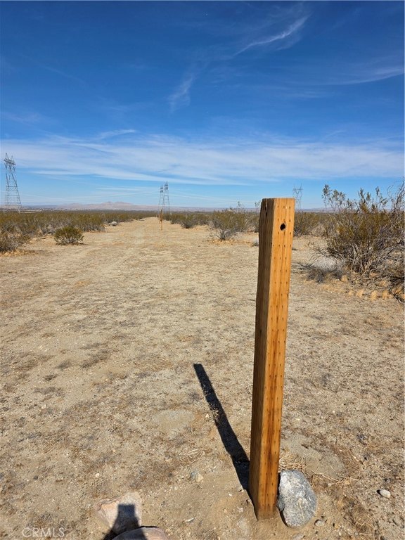 Picture 5