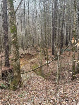 Land, Sylacauga, AL
