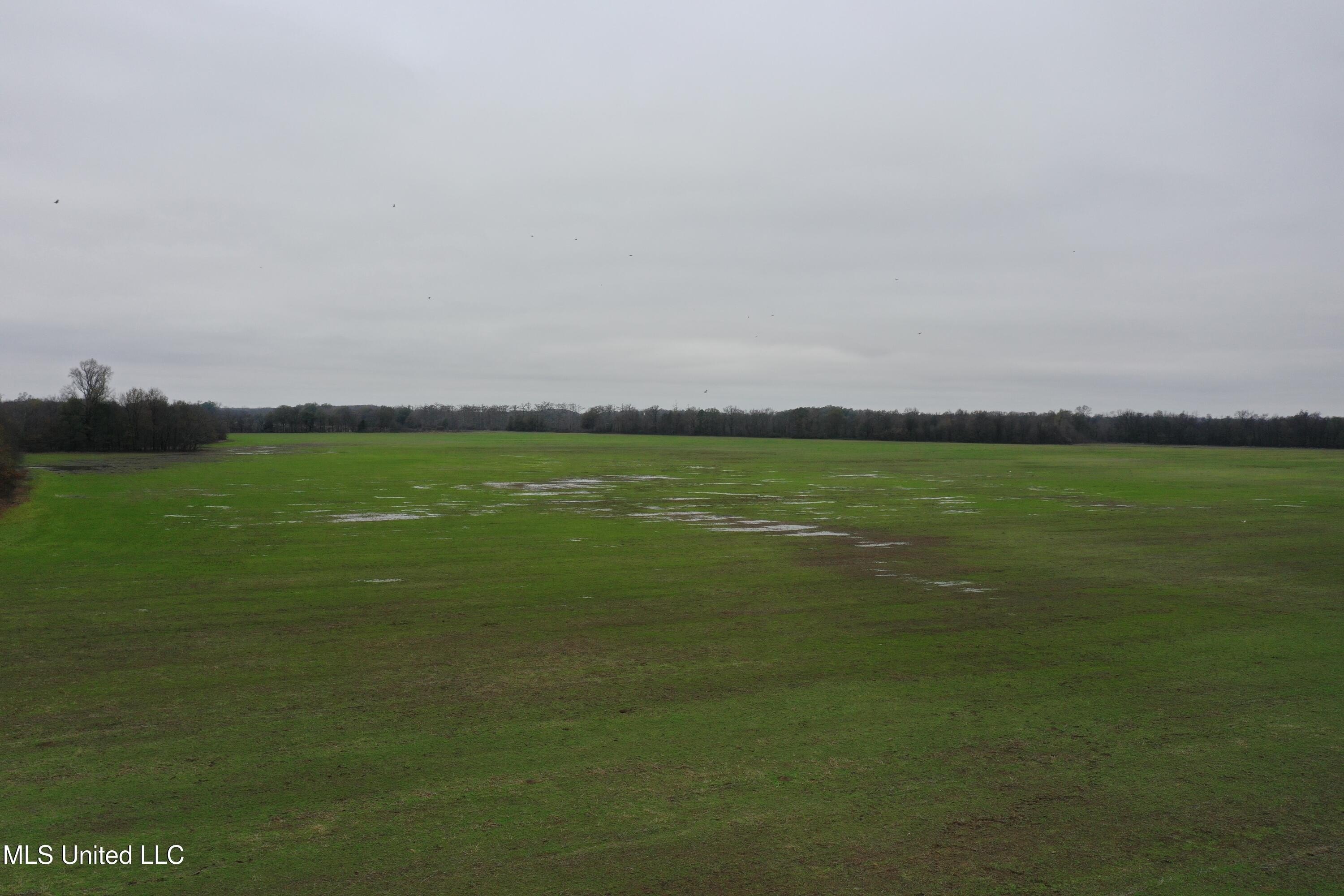 Agricultural Land with Income Potential