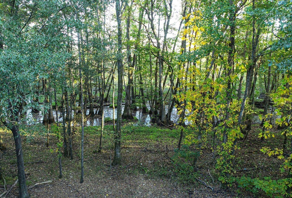 Picture 38