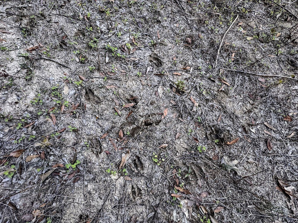 Picture 53