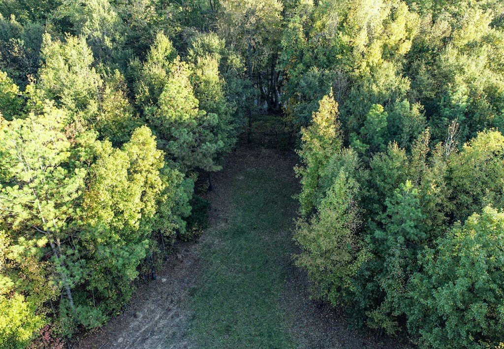 Picture 36