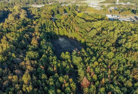 Hunting Land with Wildlife Slough