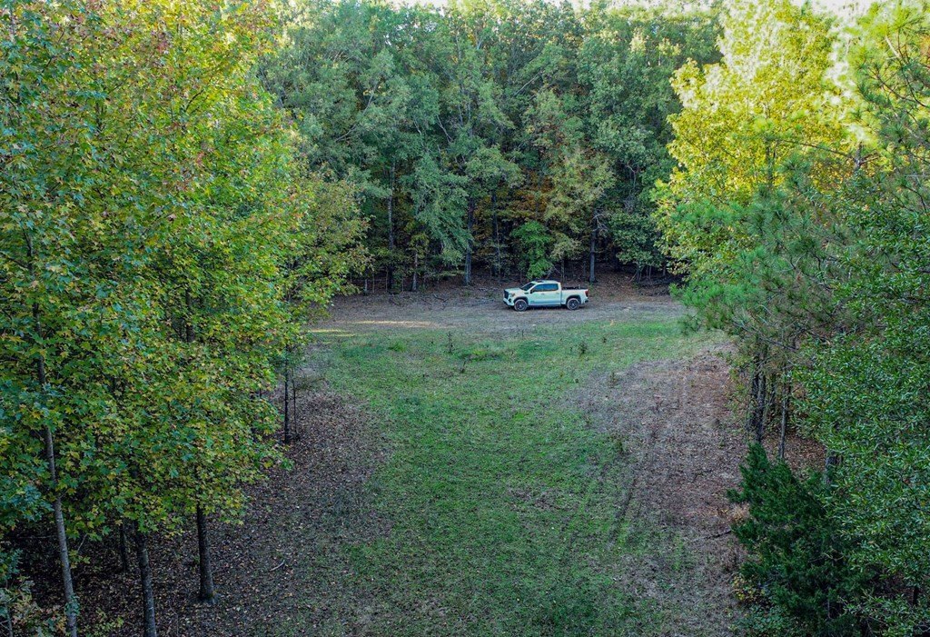 Picture 41