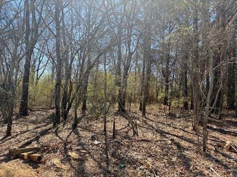 Prime Commercial Land Opportunity