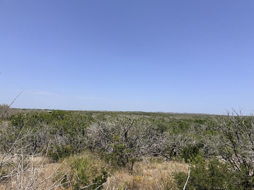 Picture 33
