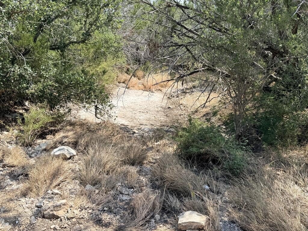Picture 5
