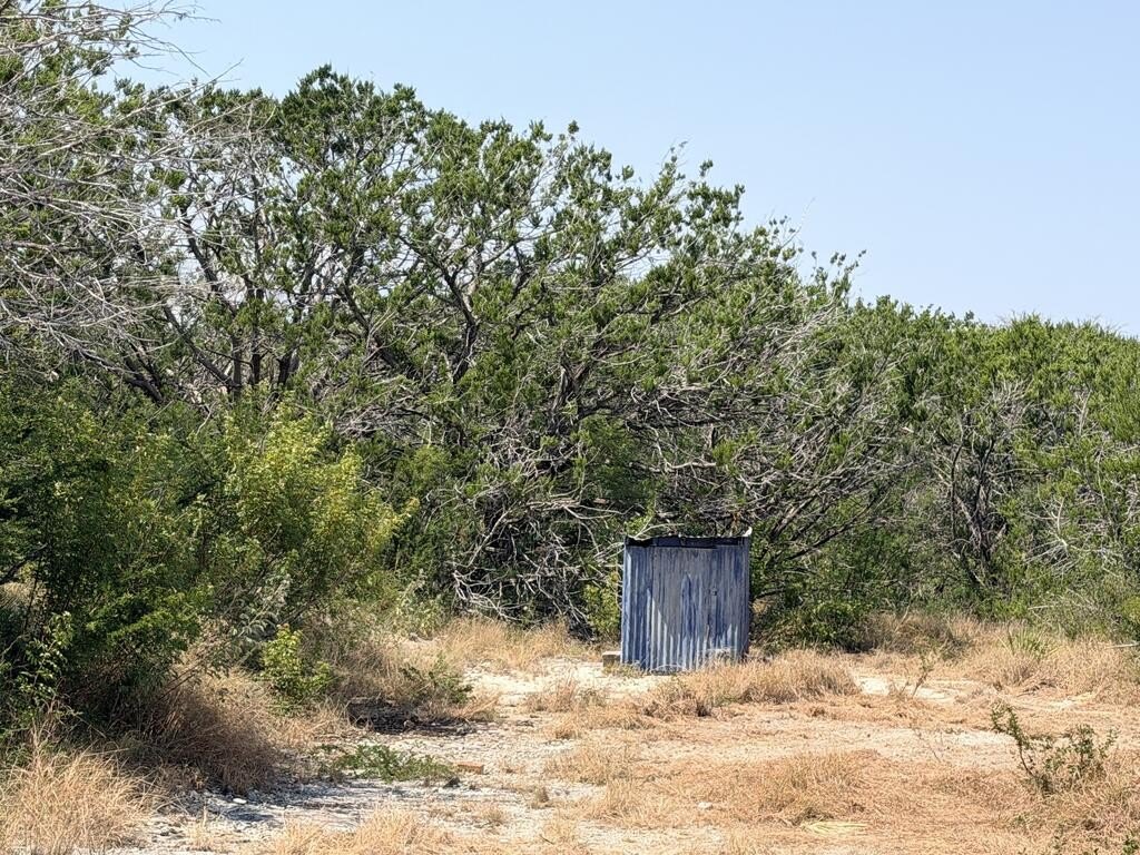 Picture 23