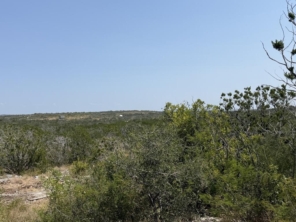 Picture 29